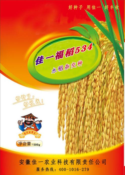 佳一福稻534安徽佳一农业科技有限责任公司