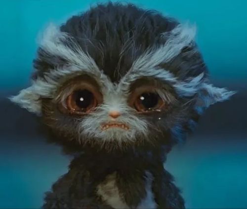 笑声预警欢乐过圣诞武林怪兽携新星1221登陆澳大利亚新西兰内含圣诞大