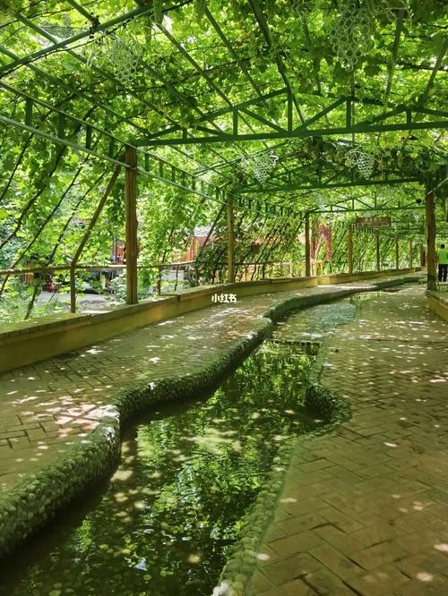 新疆 第十天 火焰山 葡萄沟_景点_吐鲁番葡萄沟风景区