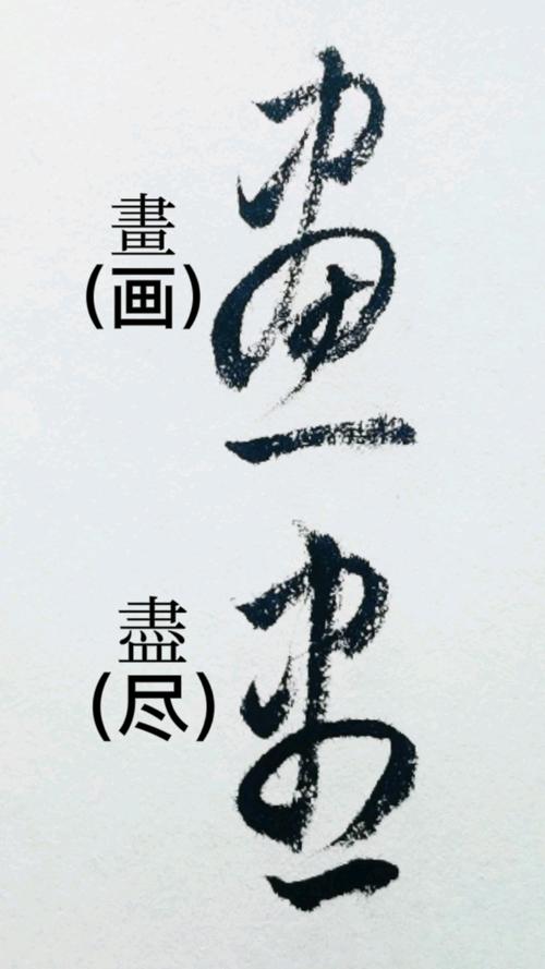 一起写草书画与尽字的草书写法及区别