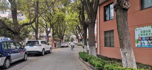 氯碱小区,剑川路50弄-上海氯碱小区二手房,租房,房价-上海安居客
