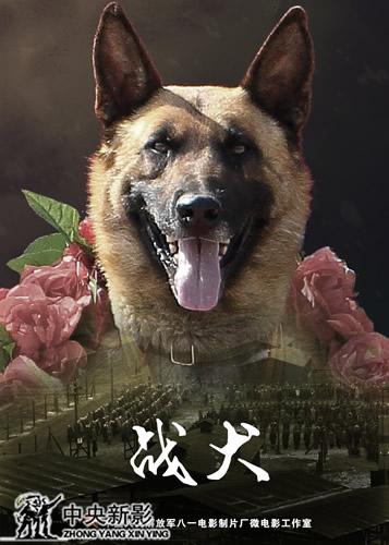 《战犬》