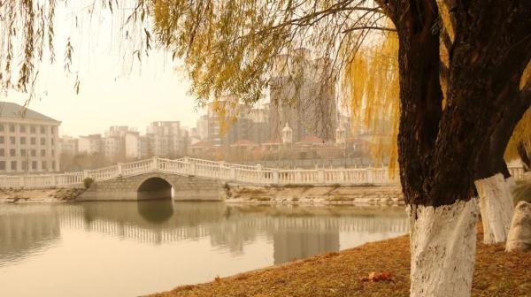 洛阳师范学院金黄色的秋天慢慢拥抱了安师的校园,风起叶落,关不住那