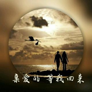 亲爱的等我回来作者碑林路人