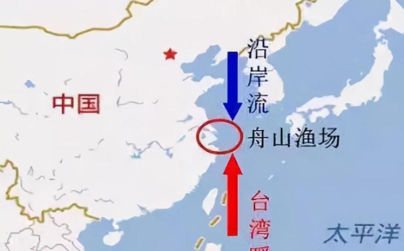 海洋的"报复":过度捕捞二十年,舟山渔场已成"死海"?