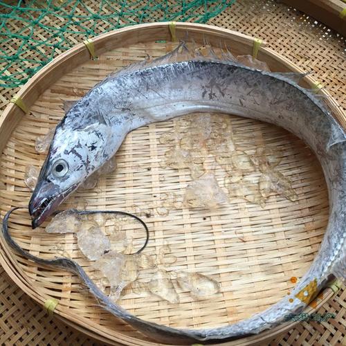 台州石塘特产渔家自晒带鱼干自然风干咸带鱼 刀鱼干 水产干货500g