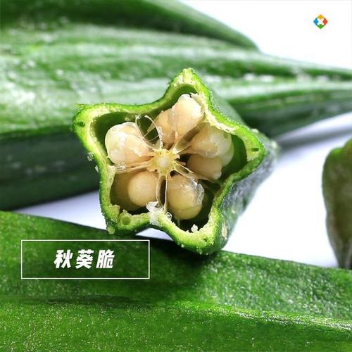 长得像辣椒的秋葵,吃起来黏糊糊的,营养价值却极高