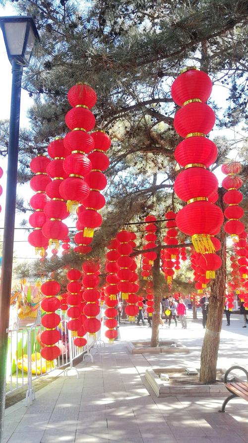 圆明园里的大红灯笼真漂亮!