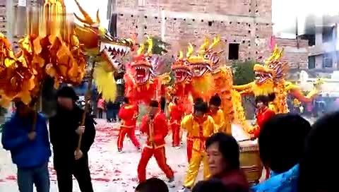 兴宁洋里过年舞龙灯