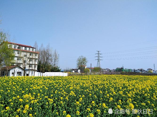 单骑逍遥追风去,百里骑行汉中采风油菜花第一站:铺镇