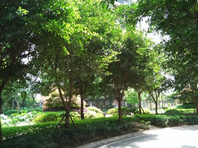 宗申动力城二期