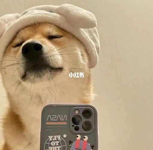 狗头保命_情侣头像_单身狗_单身狗情头_素材_头像