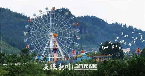 织金凤凰生态公园的前世今生|凤凰山|湿地|生态区