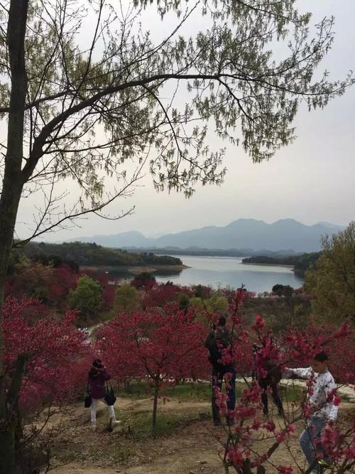 武宁花源谷