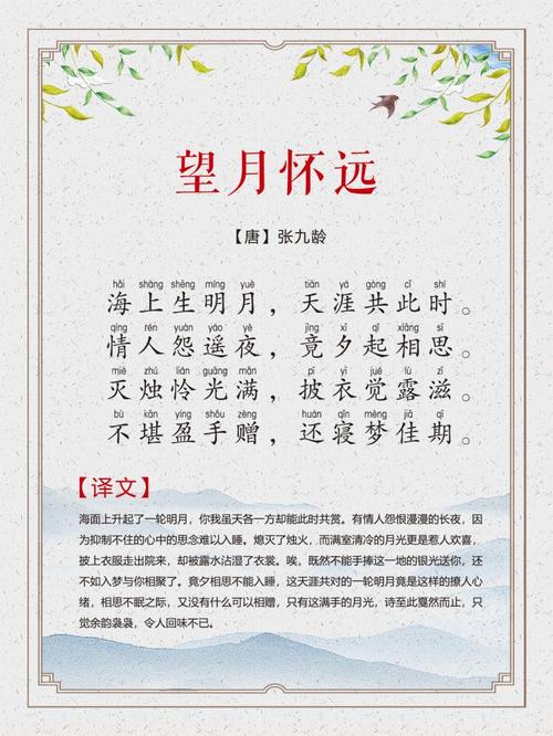 第20集:望月怀远(唐张九龄)