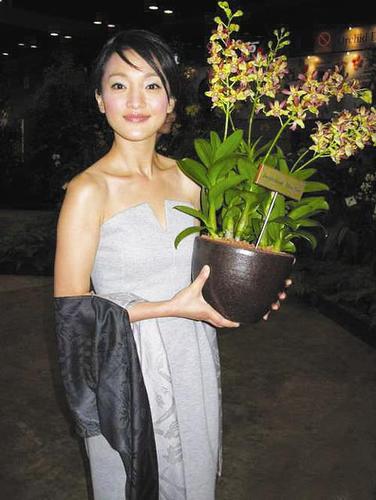石斛能搞定的3大女明星排行榜