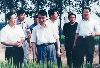 徐州市委副书记刘忠达(右三),时任丰县县委书记曹文泉(右一),县长