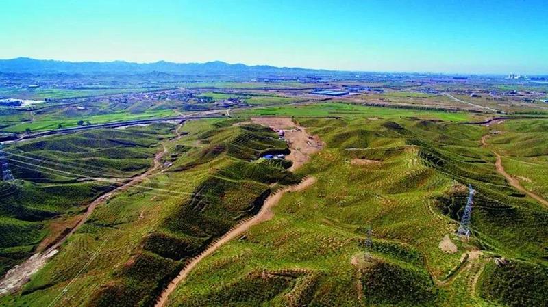 九原区:当"智能养护"遇见"大青山"