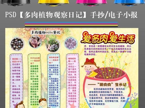 ps手抄报多肉植物生长观察日记小报图片编号