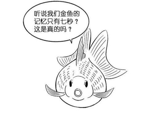 记忆简笔画