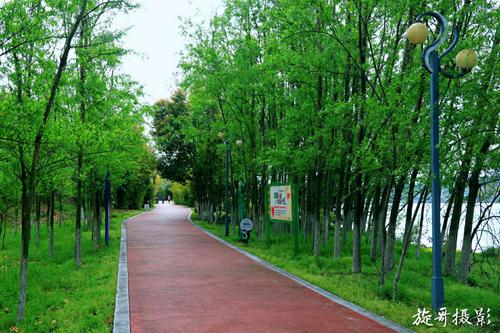 随州论坛 _ 白云湖健康公园春意盎然 - 阳光快门 - 端