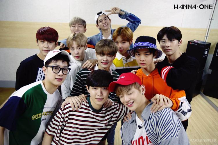 wannaone出演《认哥》 粉丝:录影棚会被掀翻的