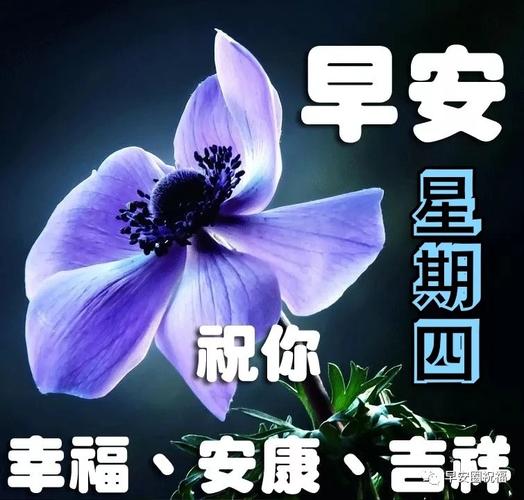 3月4日(星期四)祝福图片