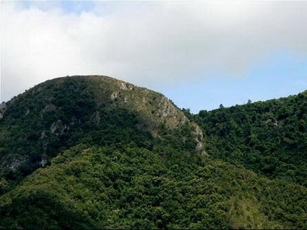 最早发现的乐东毛公山