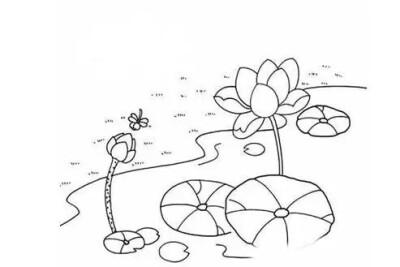 夏天的简笔画手抄报 关于夏天的手抄报