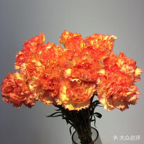 橘色单头康乃馨