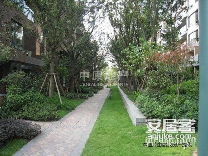 全部二手房 南岸二手房 弹子石二手房 龙湖郦江二手房 当前房源