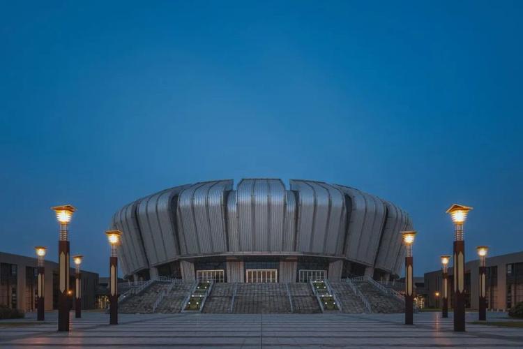 别有洞天夜幕下的东南大学