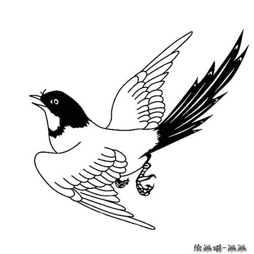喜鹊鸟简笔画图片