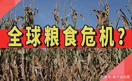 粮食危机真的要来了吗