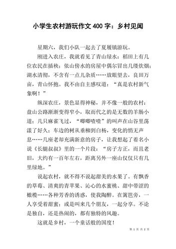 小学生农村游玩作文400字:乡村见闻.docx