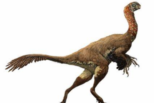 可汗龙小型窃蛋龙