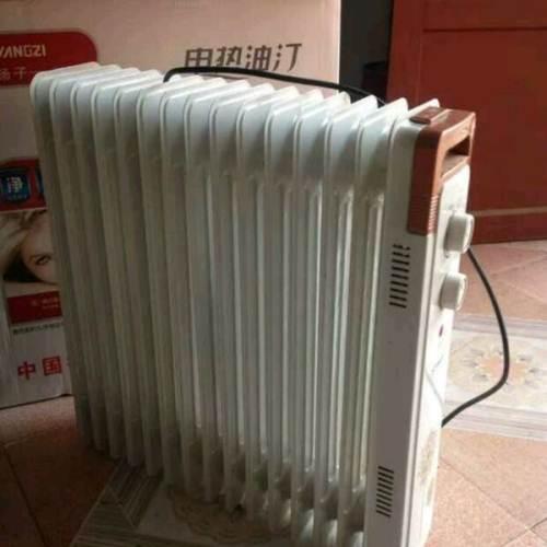 扬子电暖气,电油丁,暖气片,15片 2000w.