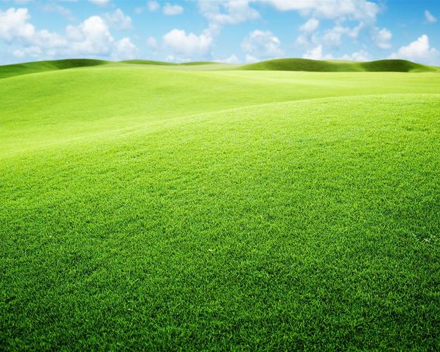 草原,绿色,天空 壁纸 - 1280x1024