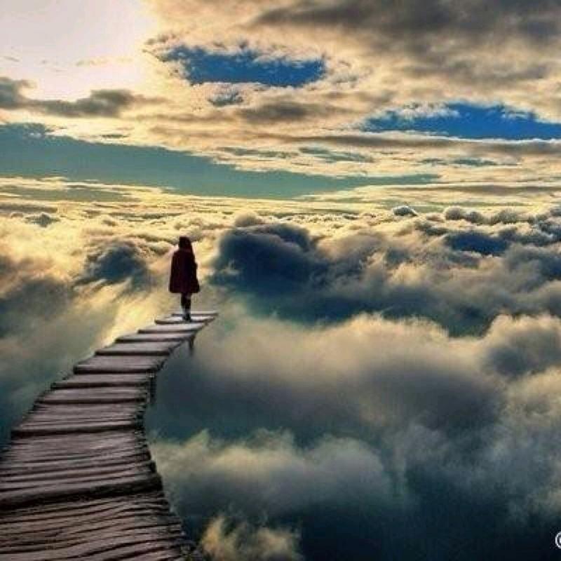 可笑可悲可叹的人生 我都忘记她了!