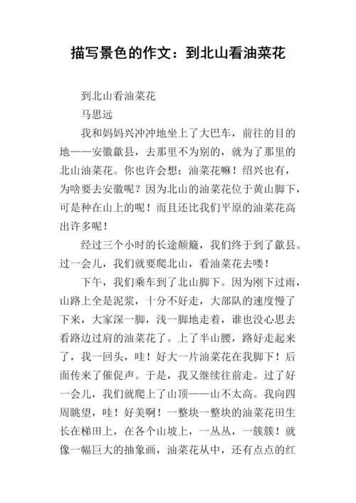 描写景色的作文:到北山看油菜花.docx