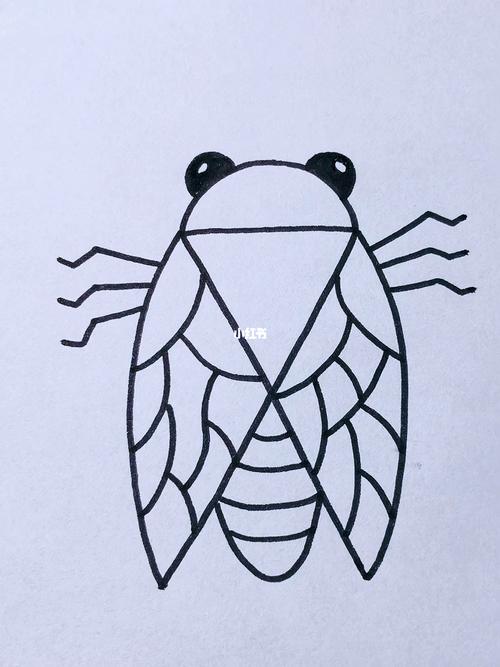 知了简笔画_简笔画_画个简笔画_文化_绘画