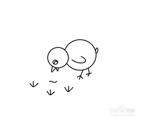怎么画找虫吃的小鸡