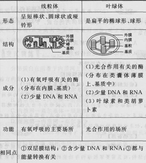 一,线粒体和叶绿体