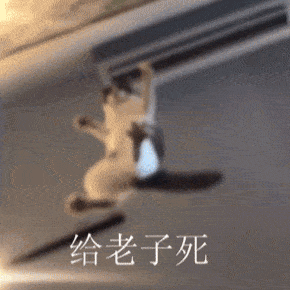 这样也方便保存为表情包 怼人表情包|猫猫版 给老子死 就很烦 我去你