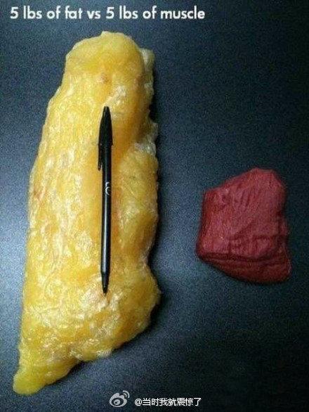 长健识脂肪能转化为肌肉吴亦凡跟你开了个大玩笑