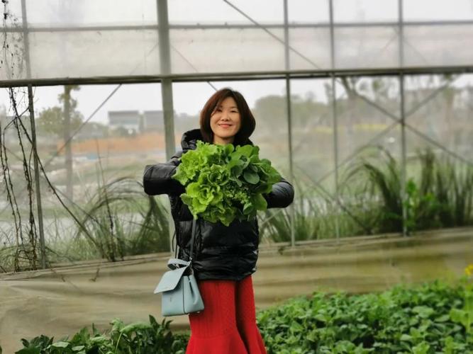 滋农三林 | 小白鹭市民农园开始植树啦!