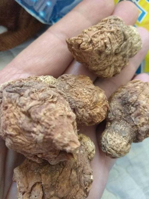 几十元一斤的,真假玛卡?大神帮看下.