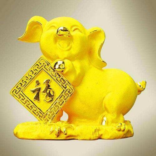 1971年生肖属猪是金猪命