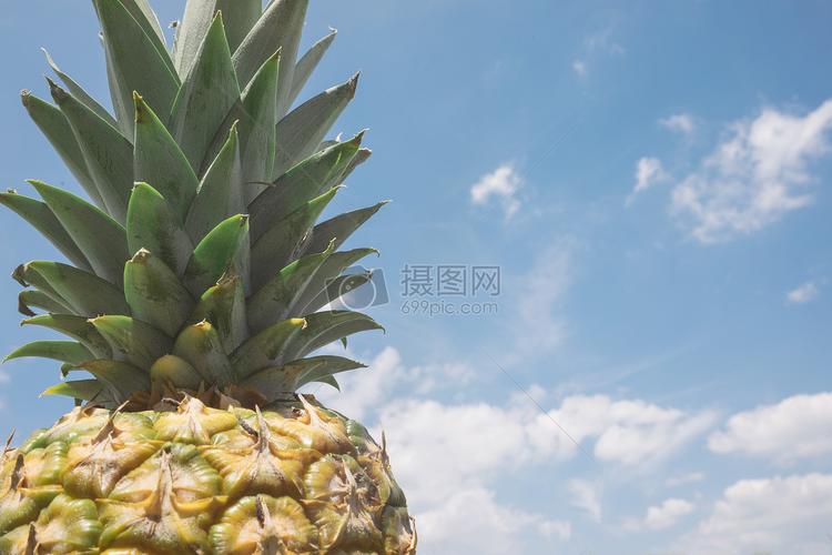 异国情调菠萝头特写