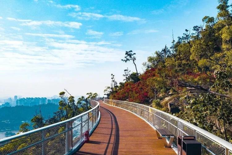 板樟山"景山道"示 范段实景图